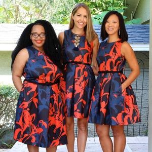 Dressbarn fit and flare dress